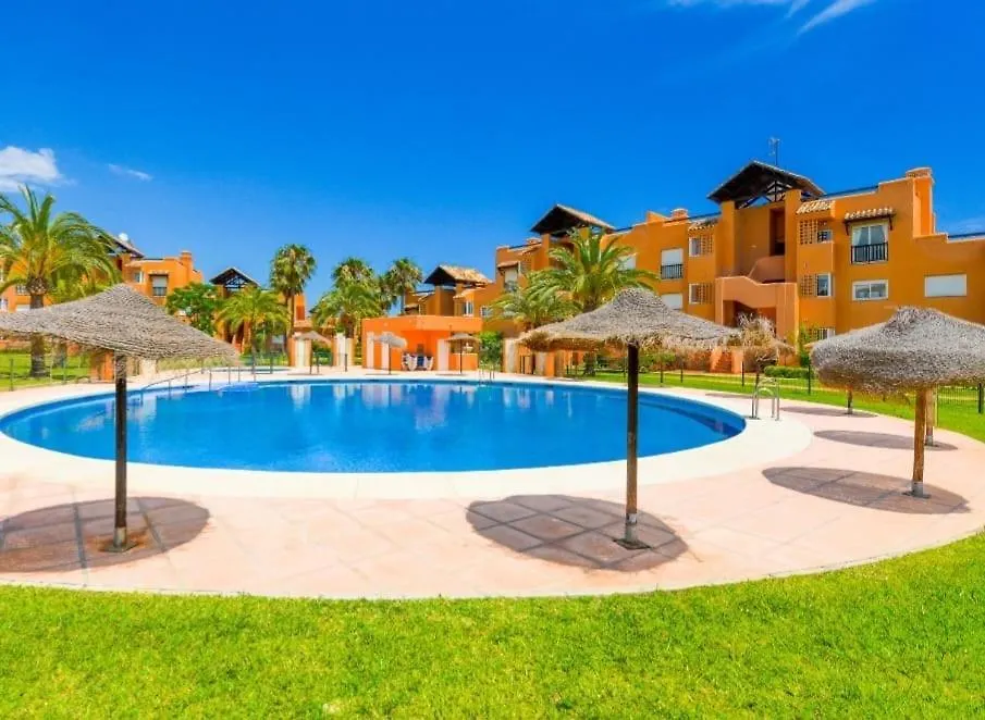 Noctua Cortesin Sun 002 Casares Spanien